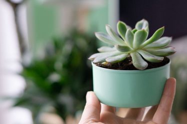 Home Office einrichten – 5 DIY Ideen für deinen Arbeitsplatz zuhause