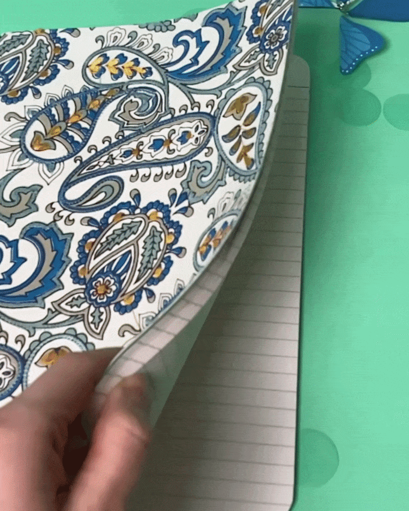 Pop Up Schmetterlinge basteln